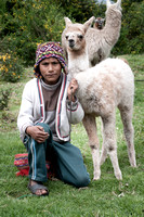 A boy and his lama